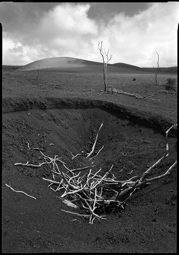 devastation trail